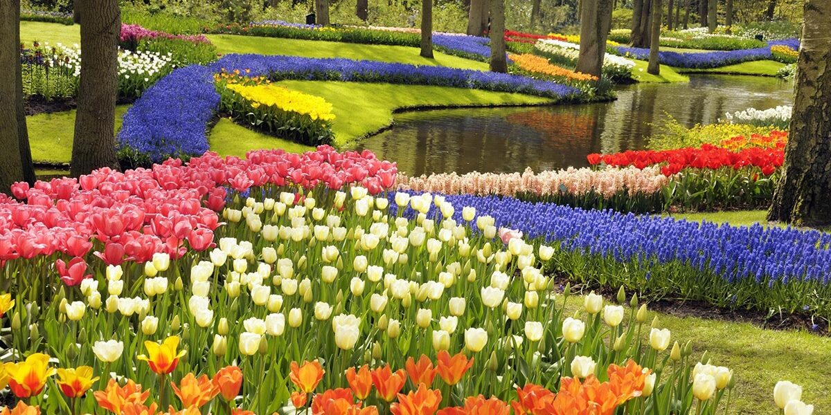 What is Happening In The Australian Spring 2